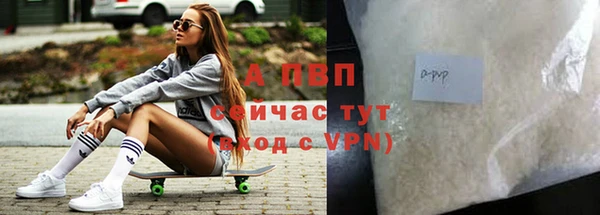 прущие грибы Струнино